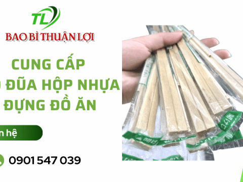 Địa chỉ cung cấp bộ đũa hộp nhựa đựng đồ ăn chất lượng, giá rẻ