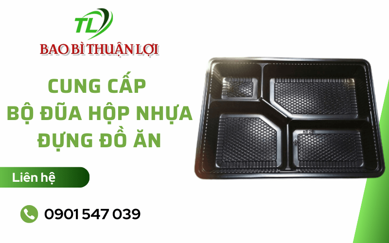 Địa chỉ cung cấp bộ đũa hộp nhựa đựng đồ ăn chất lượng Cung-cap-bo-dua-hop-nhua-dung-do-an-1%20(5)