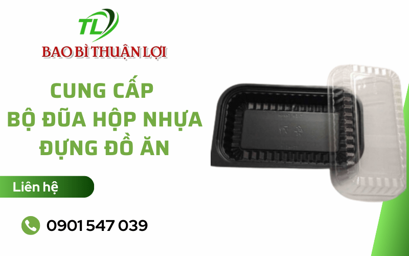 cung cấp bộ đũa hộp nhựa đựng đồ ăn