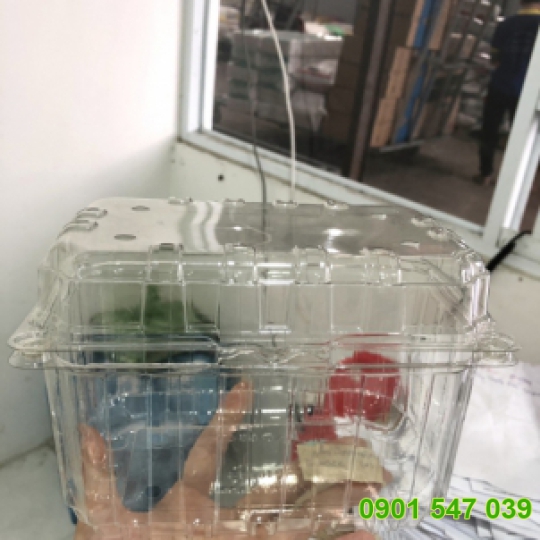 HỘP TRÁI CÂY 1KG