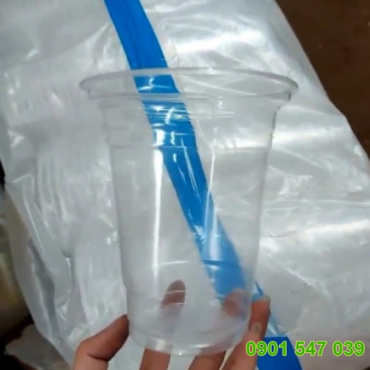 Ly 800 TT Dương Đậm