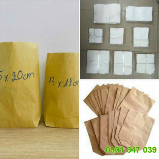 Túi Giấy Đứng